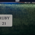 خرید پارچه مبلی رابی RUBY - تصویر 7
