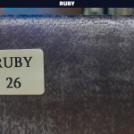 خرید پارچه مبلی رابی RUBY - تصویر 2