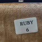 خرید پارچه مبلی رابی RUBY - تصویر 18