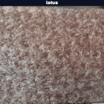 خرید پارچه مبلی لوتوس LOTUS - تصویر 6