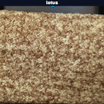 خرید پارچه مبلی لوتوس LOTUS - تصویر 9