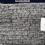 خرید پارچه مبلی لوکا فاندی LUCCA FONDI LODI - تصویر 7