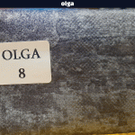 خرید پارچه مبلی مدل اولگا OLGA - تصویر 12