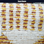 خرید پارچه مبلی هریسون HARRISON - تصویر 19