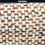 خرید پارچه مبلی هریسون HARRISON - تصویر 2