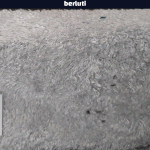 خرید پارچه مبلی برلوتی BERLUTI - تصویر 8